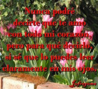 /album/fotogaleria/nunca-podre-jpg/